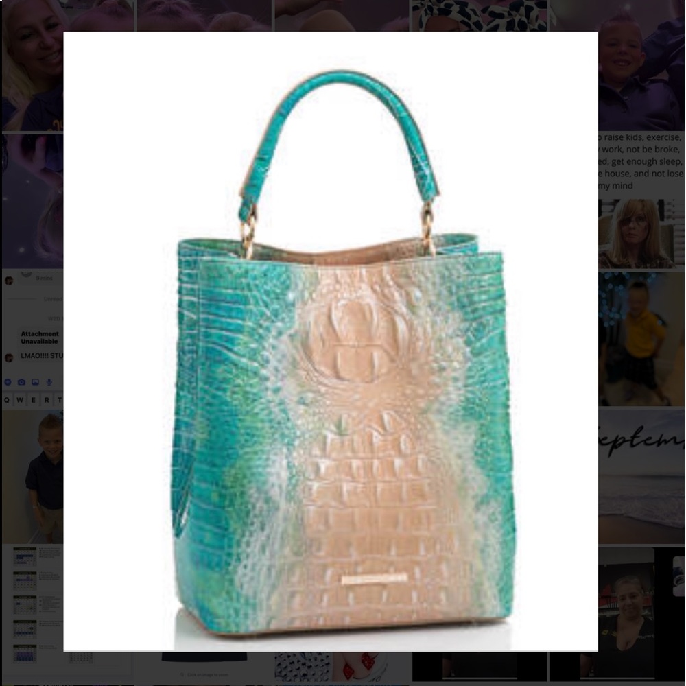 Ocean Ombré Brahmin Handbag